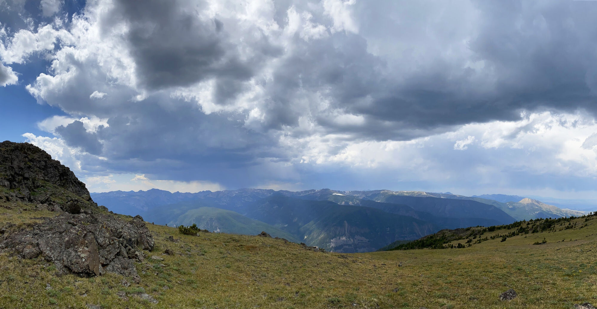 Long view